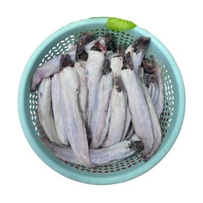 পুকুরের শিং মাছ